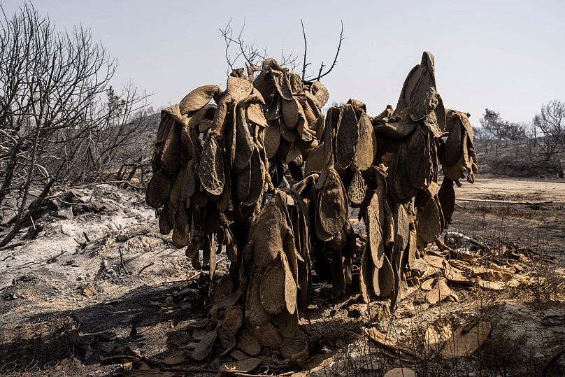 AP Photo/Petros Giannakouris