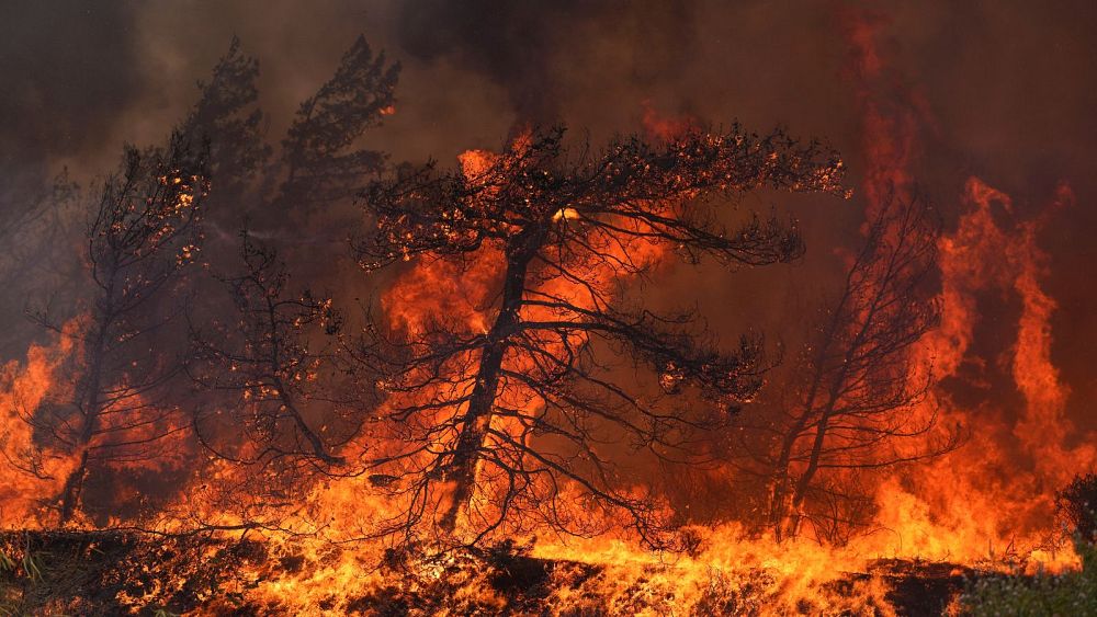 Les incendies de forêt en Grèce ont déclenché les mêmes émissions de CO2 en juillet que plus de 222 000 voitures en un an