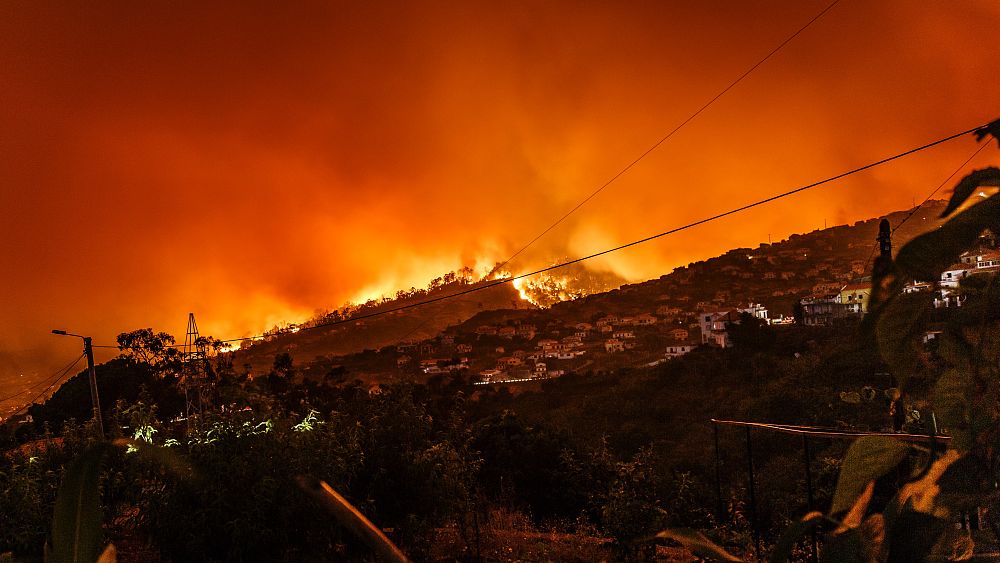 Avertissement aux voyageurs en Sicile: des incendies de forêt forcent l'évacuation des touristes et ferment temporairement l'aéroport de Palerme