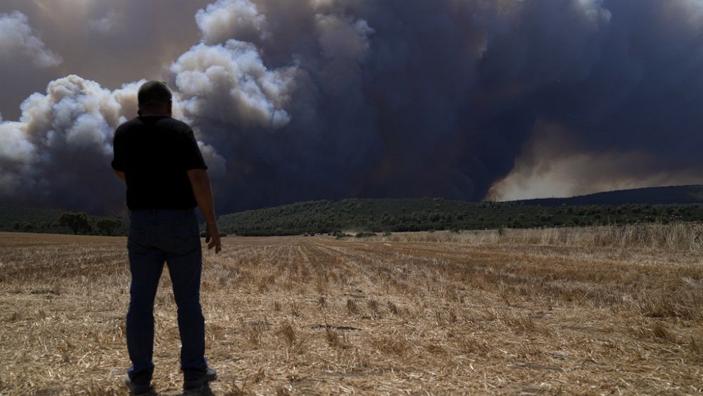 Les incendies de forêt grecs obligent les habitants et les vacanciers à évacuer
