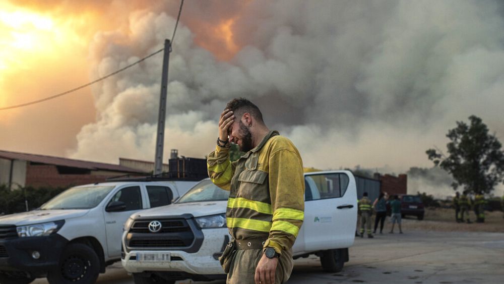 "Nous sommes seuls" : que sont devenus les villages dévastés par les incendies de l'été dernier ?