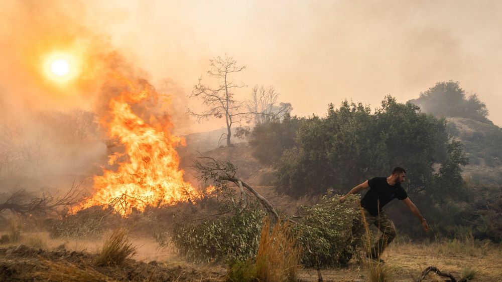 À quel point les incendies de forêt en Grèce ont-ils causé des dommages ?  Des experts expliquent comment la canicule a attisé les flammes