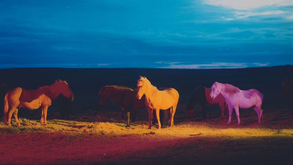 Jetez un œil aux images psychédéliques et surnaturelles de Gareth McConnell des chevaux sauvages d'Islande