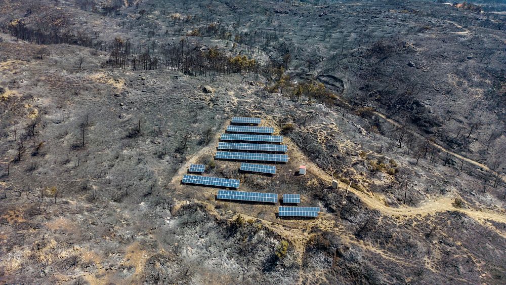 Les pénuries d'énergie causées par les vagues de chaleur auraient été "bien pires" sans l'énergie solaire, selon les experts