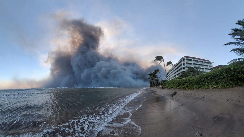 "La pire catastrophe que j'aie jamais vue": les habitants ont plongé dans l'océan alors que des incendies de forêt ravageaient Maui