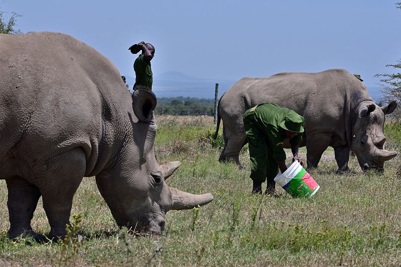 TONY KARUMBA/AFP