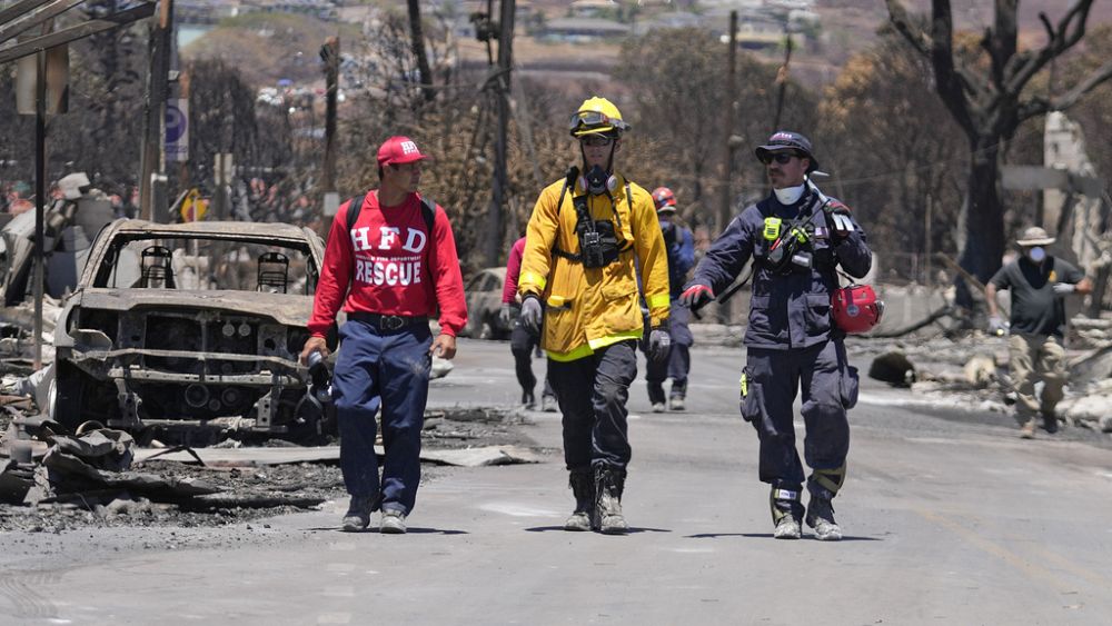 Alors que le nombre de morts dans l'incendie de Maui atteint 89, les autorités affirment que les efforts pour compter les pertes ne font que commencer