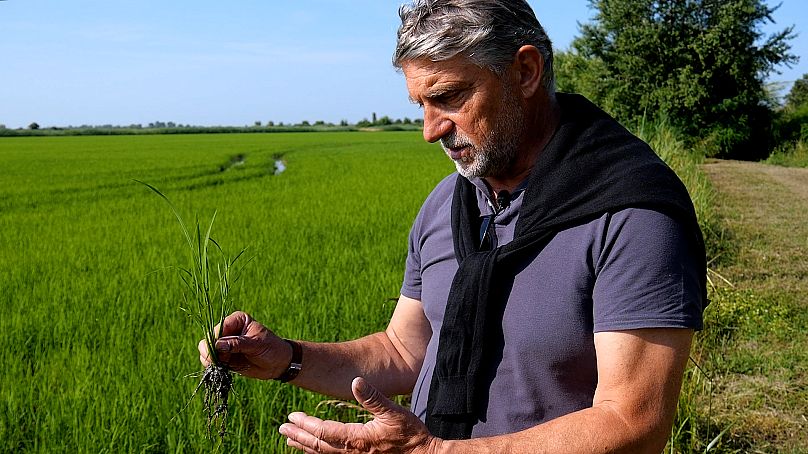 Gaël Camba / Euronews