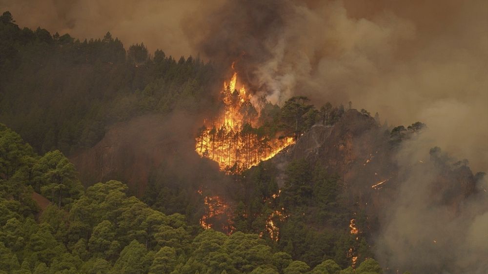 Un feu de forêt incontrôlable brûle l'île espagnole de Tenerife, affectant des milliers de personnes