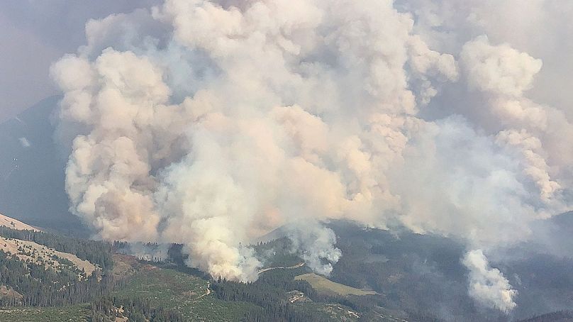 Des millions de barils de pétrole dans des zones de risques d'incendie, Feux en Alberta 2023