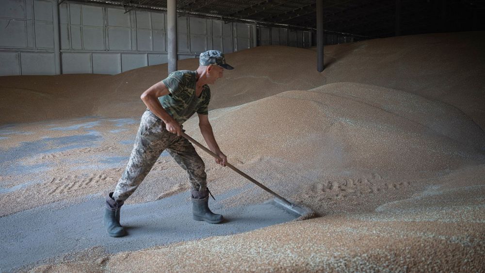 Un agriculteur ukrainien en difficulté raconte son combat pour rester en affaires