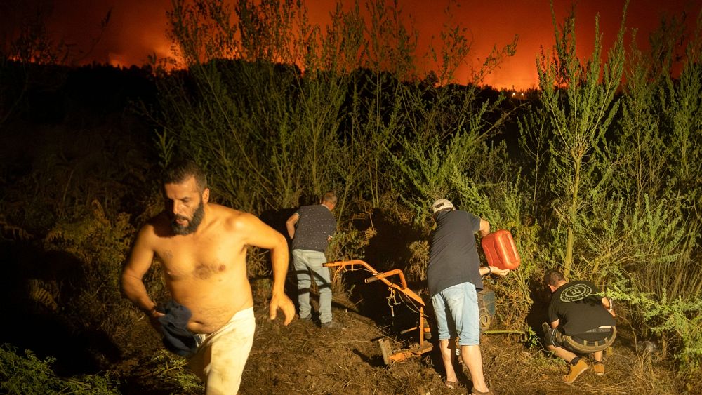 Les incendies de forêt ravagent 6% des îles Canaries, alors que les équipages s'attaquent aux incendies en Grèce et en Italie