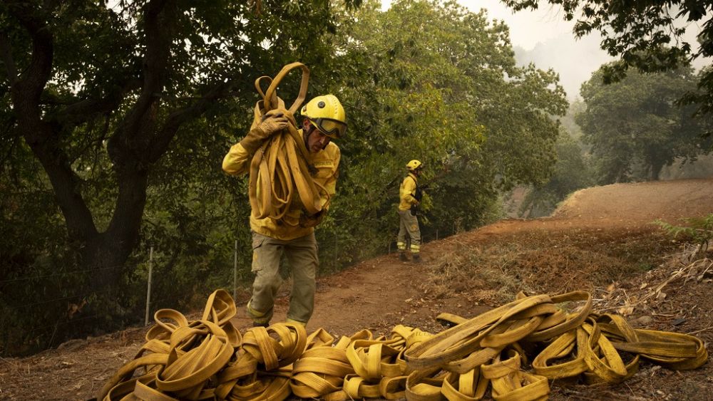 Des dizaines de milliers de personnes fuient alors que les incendies de forêt font rage à Tenerife et au Canada