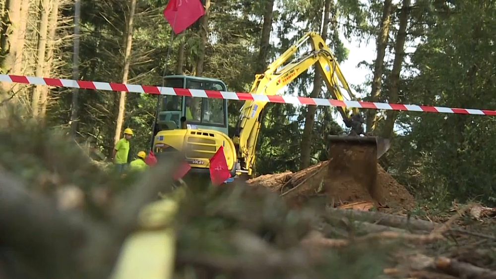 France : recherche en cours des restes de soldats allemands exécutés par des résistants pendant la Seconde Guerre mondiale