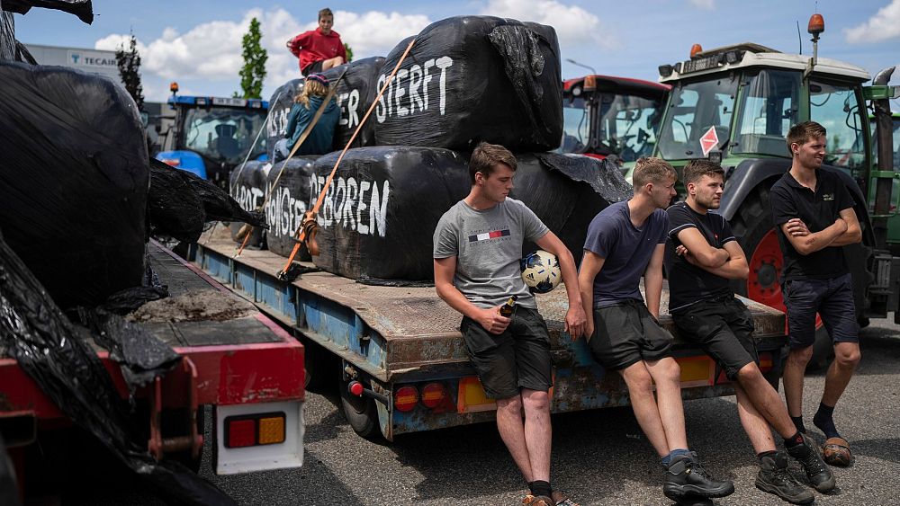 « Greenlash » : pourquoi il devient de plus en plus difficile de faire adopter des réformes environnementales dans l'UE