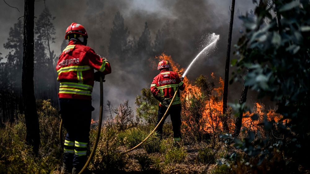 Incendies au Portugal: des centaines de pompiers s'attaquent à l'incendie d'Odemira