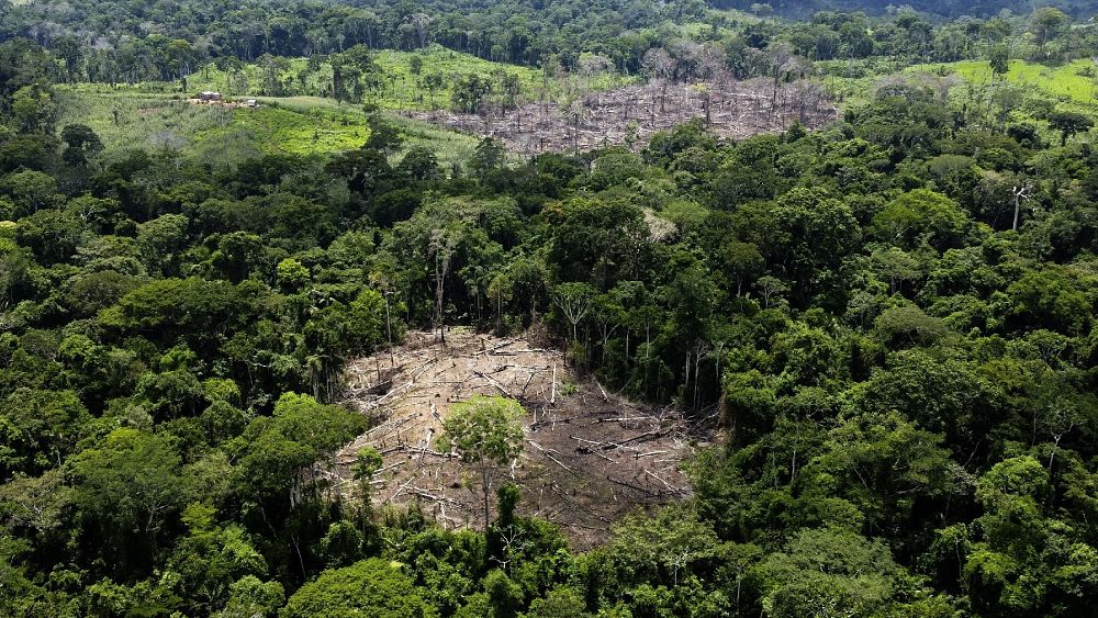 La loi européenne sur la déforestation a été saluée ici.  Les experts et les agriculteurs brésiliens sont sceptiques