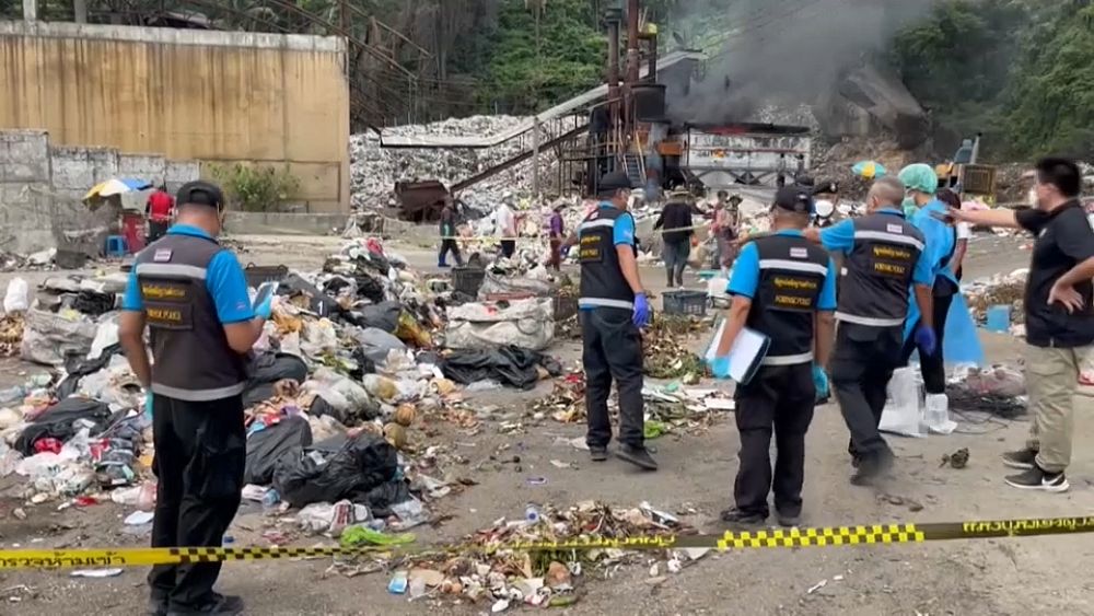 Le fils de l'acteur espagnol admet avoir tué et démembré un ami en Thaïlande, selon la police