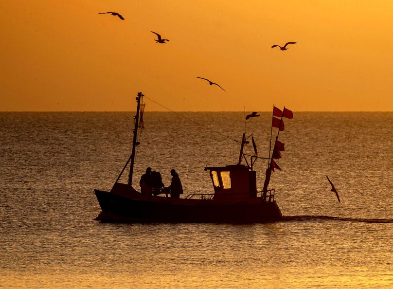 Des mouettes suivent un bateau de pêche sur la mer Baltique près de Timmendorfer Strand, dans le nord de l'Allemagne, juillet 2020