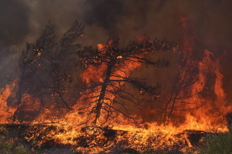 AP Photo/Petros Giannakouris