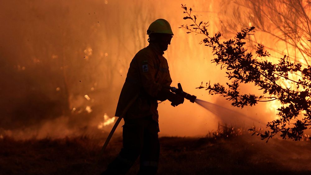 "Recette du désastre": 10 pays de l'UE suppriment des emplois de pompiers malgré l'aggravation de la crise climatique