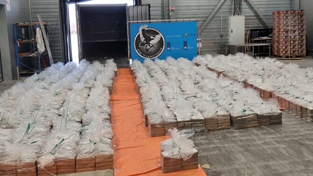 Transport record de drogue par les douaniers néerlandais au port de Rotterdam