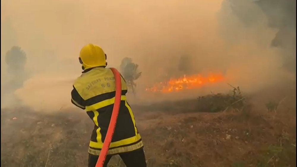 Un incendie de forêt français près de la frontière avec l'Espagne est sous contrôle après les évacuations