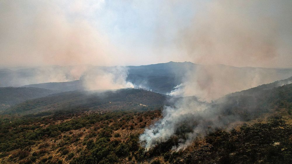 La Grèce se tourne vers la technologie pour lutter contre les incendies de forêt alors que le plus grand incendie jamais enregistré dans l'UE continue de brûler