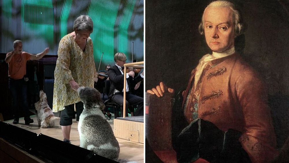 Round of a Paws : les chiens qui aboient sont la vedette de la symphonie de Mozart avec l'Orchestre de chambre danois