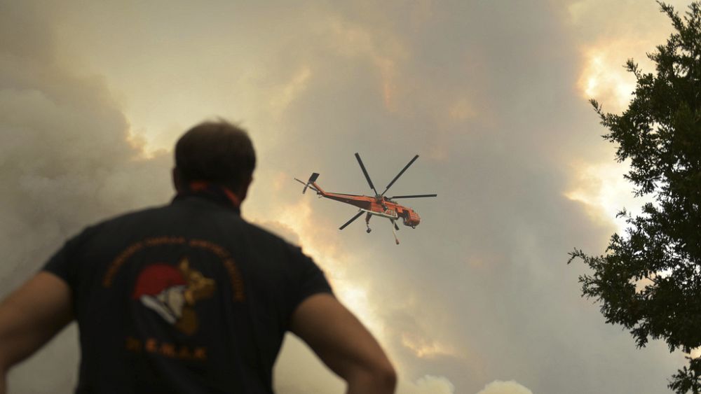 Quelles leçons la Grèce peut-elle tirer des violents incendies de forêt de cette année ?