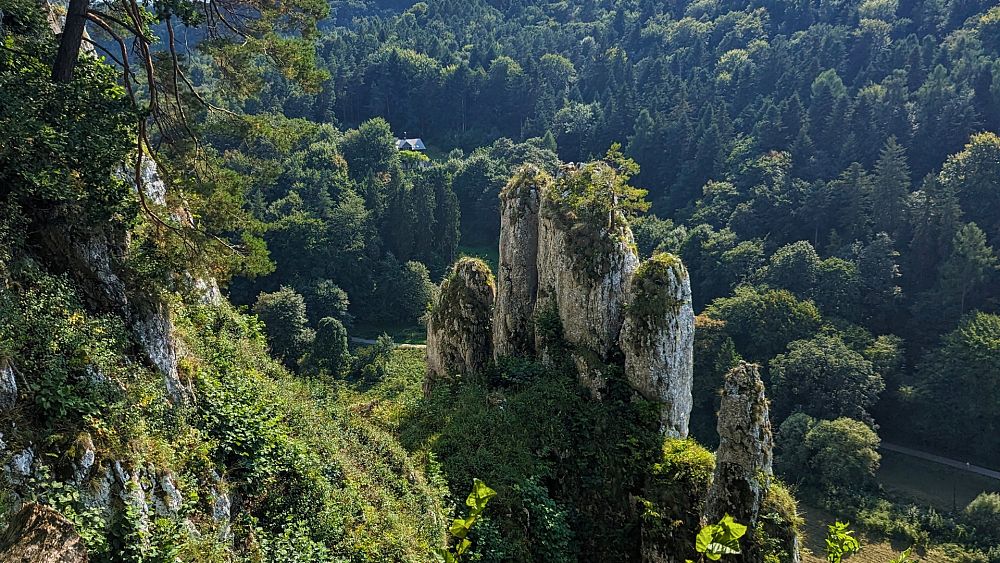 Excursions d'une journée à Cracovie : explorez les grottes néolithiques et les châteaux médiévaux de ce magnifique parc national