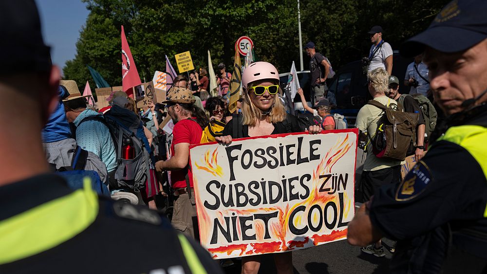 Des milliers de personnes manifestent après que le gouvernement néerlandais accorde des subventions aux combustibles fossiles