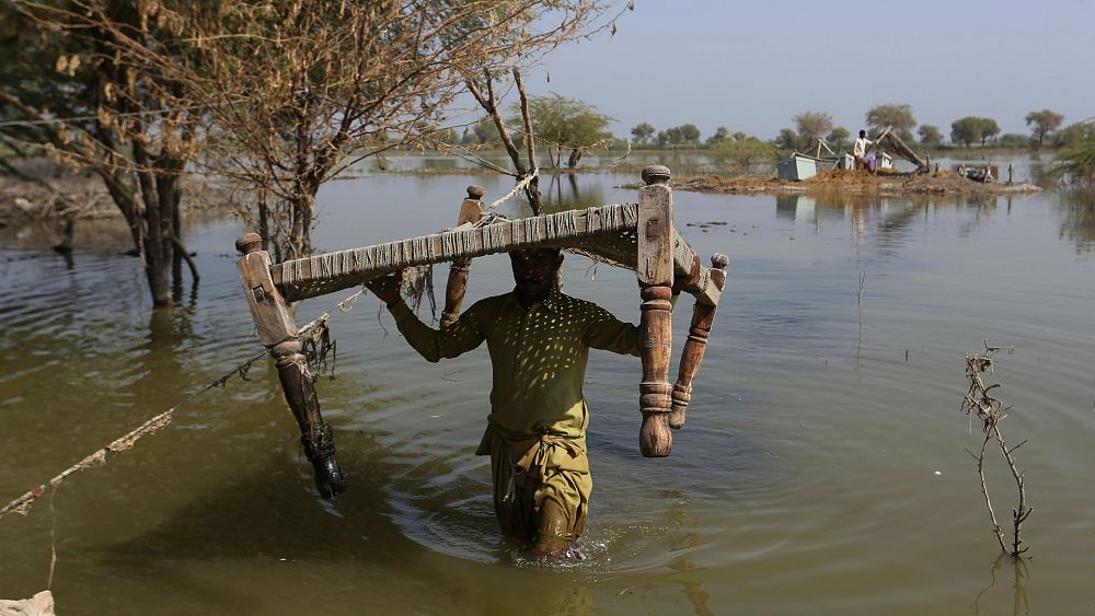 Zones inondables : les villes et les villages s'étendent rapidement vers des zones à haut risque, selon une étude