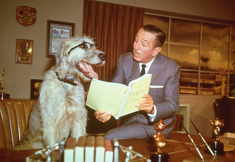 Walt Disney dans son bureau le 23 décembre 1965, faisant semblant de lire un scénario avec un chien.