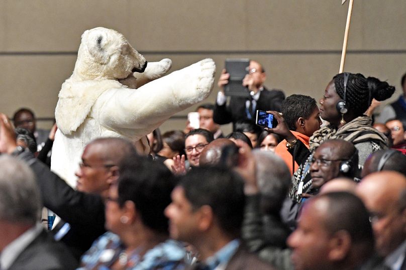 Un homme en costume d'ours polaire se promène entre les délégués lors de l'ouverture de la COP 23 de la Conférence des Nations Unies sur les changements climatiques à Bonn, en novembre 2017.