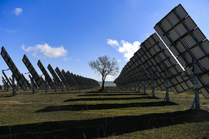 Un arbre est entouré de panneaux solaires à Los Arcos, dans la province de Navarre, dans le nord de l'Espagne.