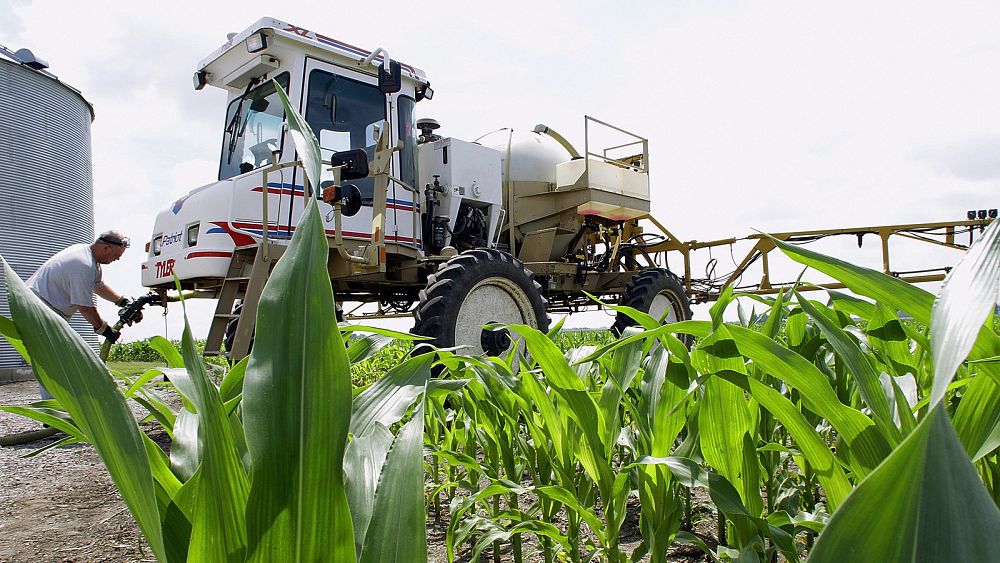 Les pays de l’UE ne parviennent pas à s’entendre sur une prolongation de 10 ans de l’utilisation du glyphosate