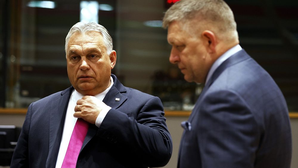 Orbán s'oppose au plan de soutien de l'UE à l'Ukraine de 50 milliards d'euros, tandis que Fico soulève des préoccupations en matière de corruption