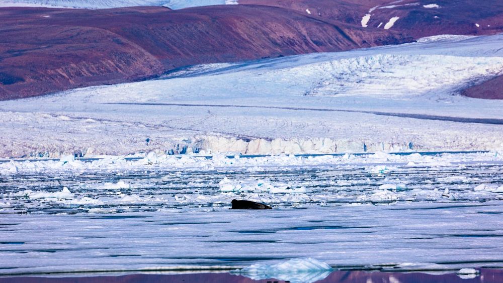 « Une chance d'agir » : les chercheurs affirment qu'il n'est pas trop tard pour sauver la calotte glaciaire du Groenland