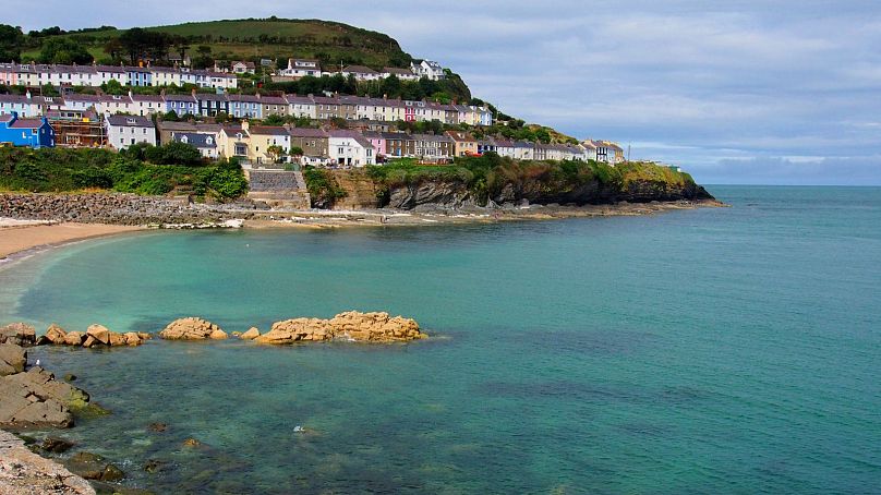 New Quay sur la baie de Cardigan, qui s'étend sur environ 100 kilomètres de long et abrite une myriade d'habitats uniques.