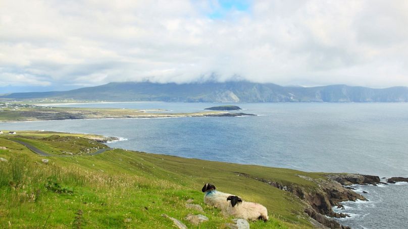 Vous pouvez être payé pour déménager sur une île irlandaise isolée.