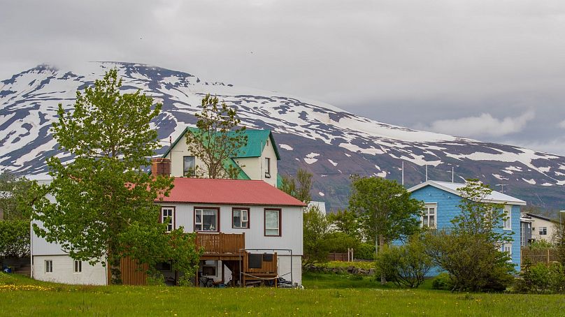 Hrísey, la deuxième plus grande île d'Islande, est un paradis pour les ornithologues amateurs.