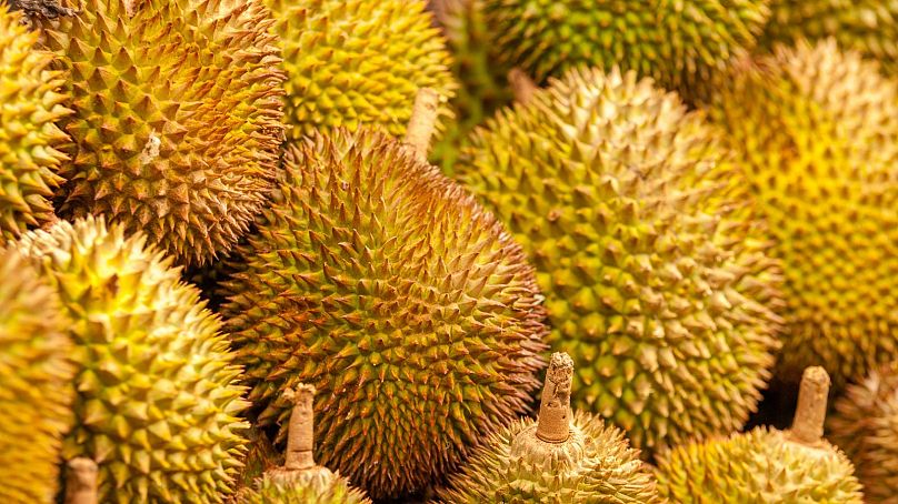 Même si son odeur n’est peut-être pas des plus attrayantes, le durian est considéré comme un mets délicat à ne pas manquer.  Les touristes l’aimeraient ou le détesteraient.