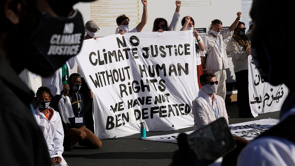 « État répressif » : des militants expriment leurs inquiétudes concernant la surveillance et les arrestations lors de la COP28