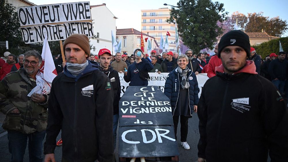 Raisins de la colère : les vignerons français protestent contre la proposition de prix minimum du gouvernement