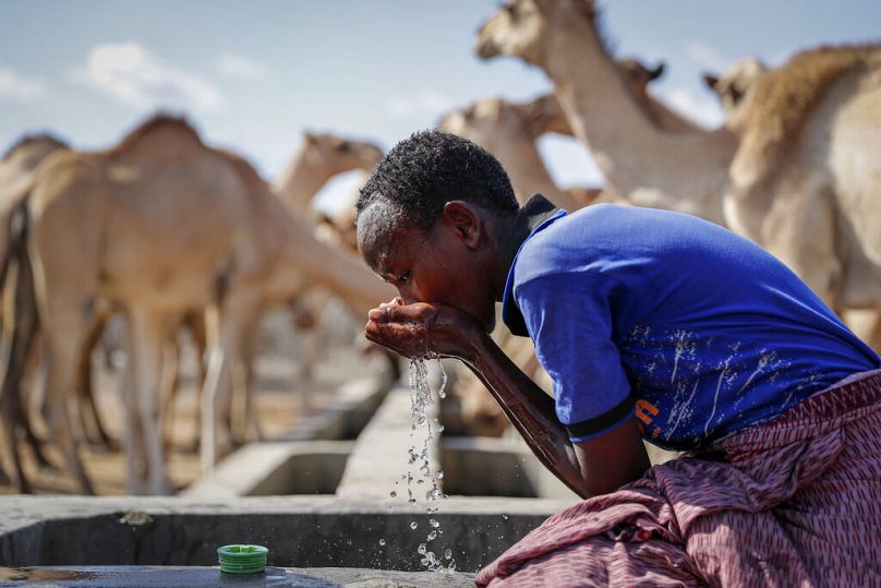 Un garçon berger qui s'occupe du bétail étanche sa soif à un point d'eau pendant une sécheresse, dans le désert près de Dertu, octobre 2021