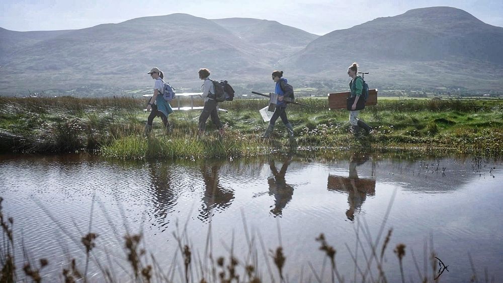 Les zones humides côtières d’Europe pourraient-elles répondre à nos préoccupations en matière de changement climatique ?