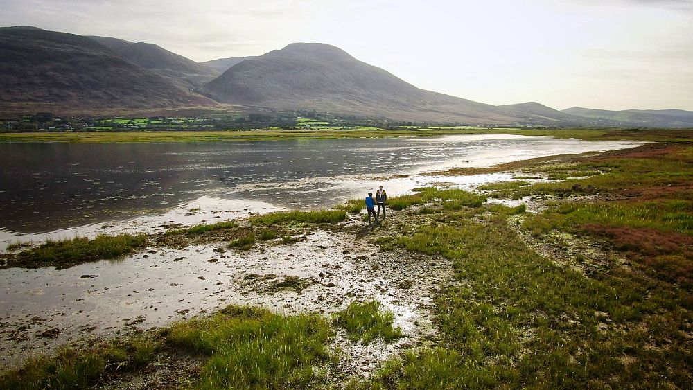 Qu’est-ce qui rend les marais salants si efficaces pour capturer le carbone ?