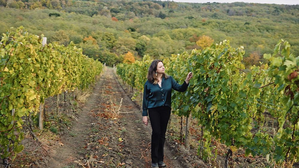 À la découverte du pays viticole de Moldavie sous terre, dans les vignes et vu du ciel