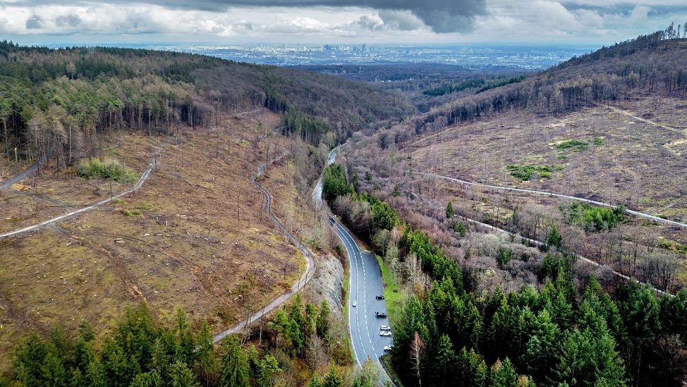 Dernières nouvelles.  Le Parlement européen et les États membres parviennent à un accord sur un projet de loi clé sur la biodiversité